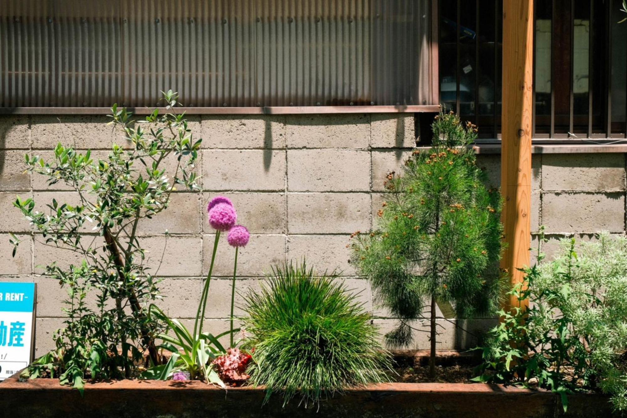 Traditional Apartment Takamatsu Guesthouse Phòng bức ảnh